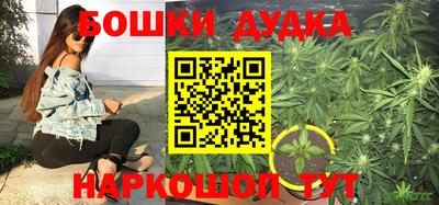 прущая мука Новодвинск
