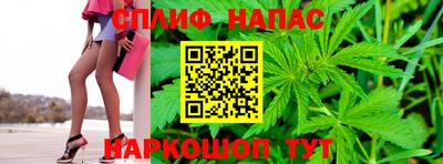 спиды Новокубанск