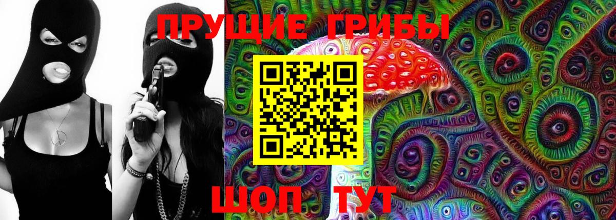 Псилоцибиновые грибы Psilocybe Тихвин